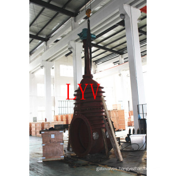 China Stainless Steel Flat Gate Valve